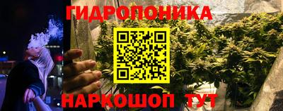 гидропоника Бугуруслан