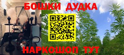 прущие крисы Будённовск
