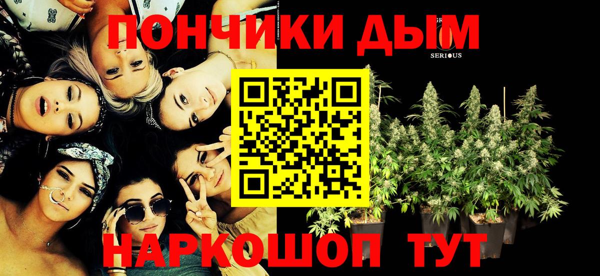 Чита  Бошки марихуана план  Вход с VPN  Бошки Шишки Ganja  Канабис тримм  Шишки марихуана ГИДРОПОН 